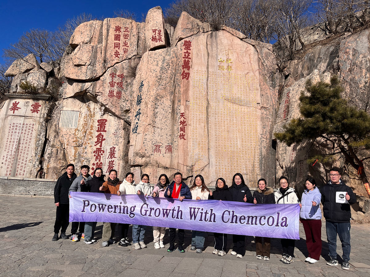 Looking Back at 2024: Gratitude and Pride in Our Journey