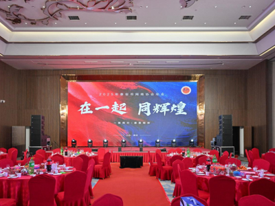 Painting Splendor Together: The 10th Annual Gala of Tai'an E-commerce Association