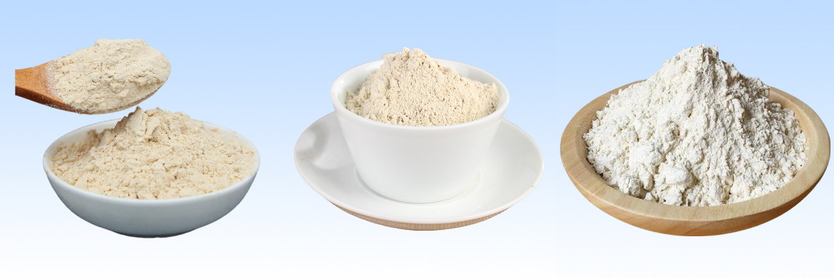 مسحوق الثوم.jpg