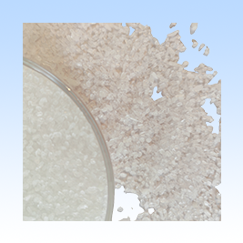 Méthylsulfonylméthane