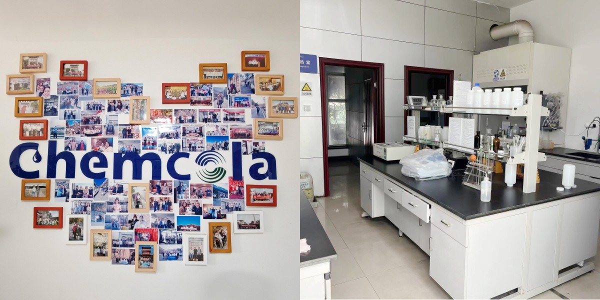 كبريتات الكوندرويتين.jpg