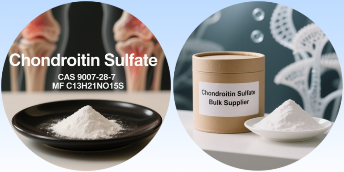 كبريتات الكوندرويتين.jpg