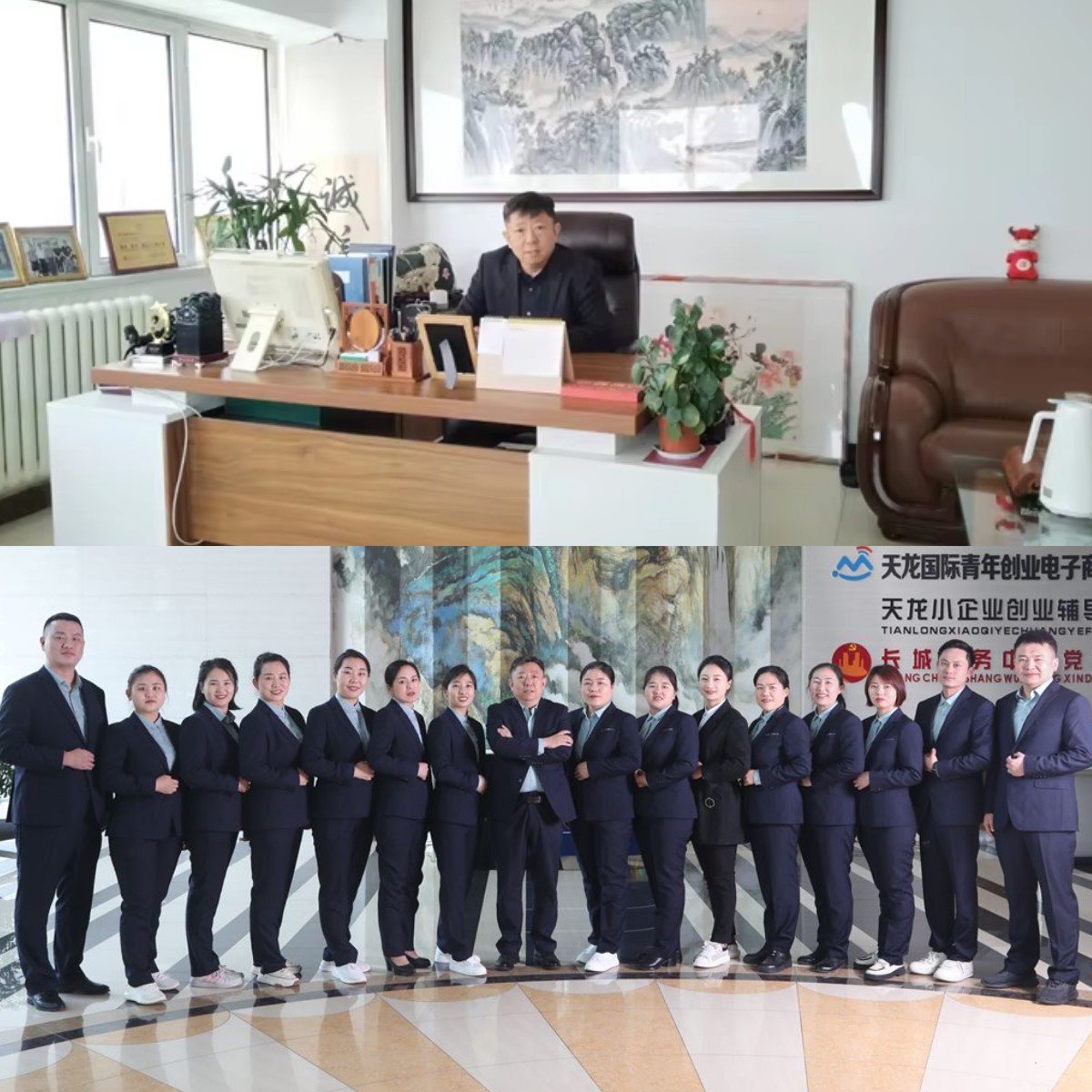 Phenolic Molding Compound Phenolic Molding Compound