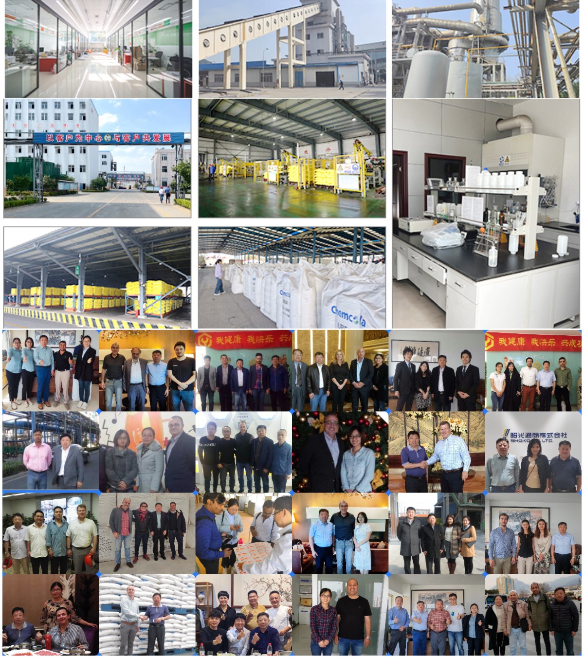 مسحوق الثوم.jpg